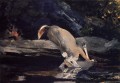 Ciervo Caído Realista pintor Winslow Homer